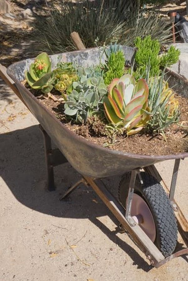 Usando carretillas para decorar el jardín