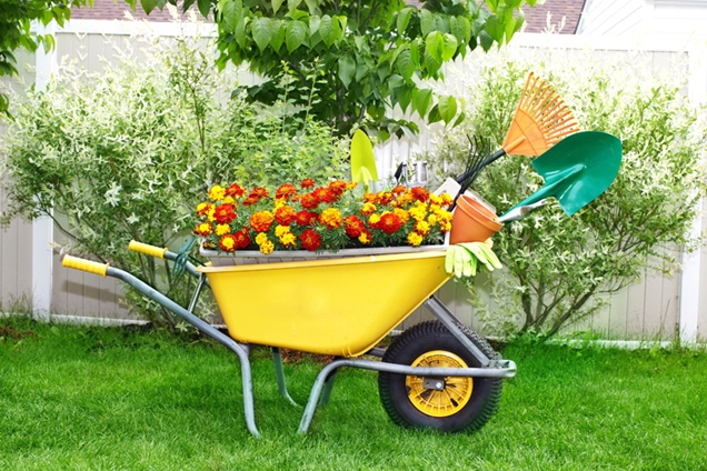 Usando carretillas para decorar el jardín