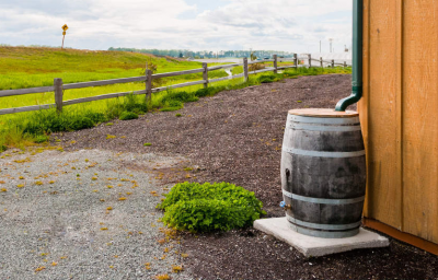 8 métodos de drenaje para el jardín