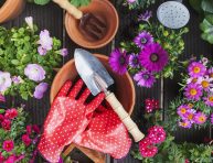 imagen Trucos para tener un jardín espectacular en primavera
