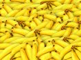 imagen Fertilizante de cáscara de plátano + 6 usos en el jardín
