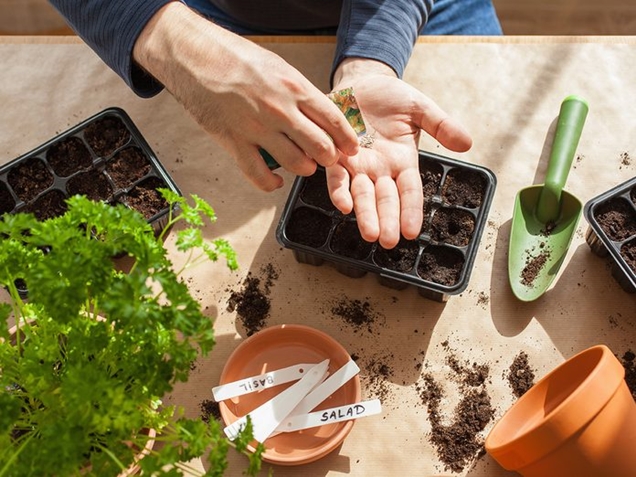 jardineria