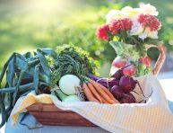 imagen Hierbas y vegetales para plantar antes de la última helada