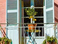 imagen Consejos para el cultivo exitoso de cítricos en balcones