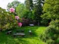 imagen Breves consejos para lograr un jardín ideal
