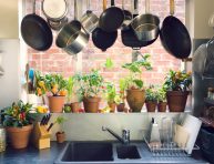 imagen Plantas en tu cocina: diseñando espacios verdes en interiores