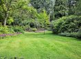imagen ¿Qué debemos tener en cuenta para el diseño de un jardín?